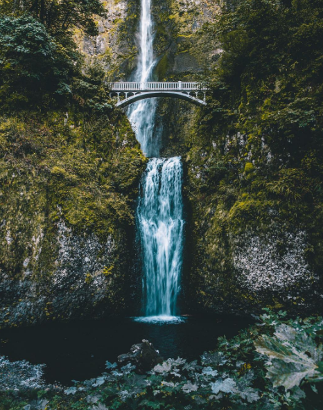 Screen Shot 2016-08-31 at 3.59.49 PM
