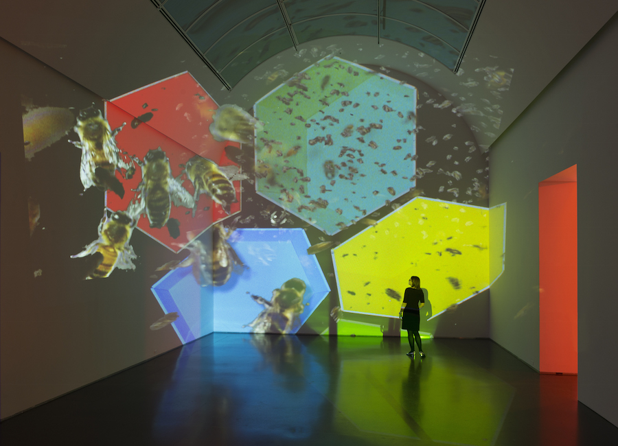 dianathater_20161028_026_1