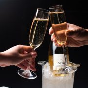Nobu hotel Chicago image cheers champagne